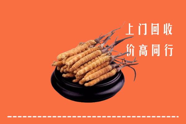 高价求购：马鞍山回收散虫草