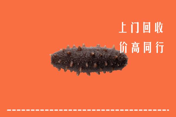 高价求购：马鞍山回收海参