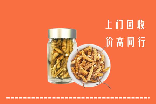 马鞍山回收冬虫夏草